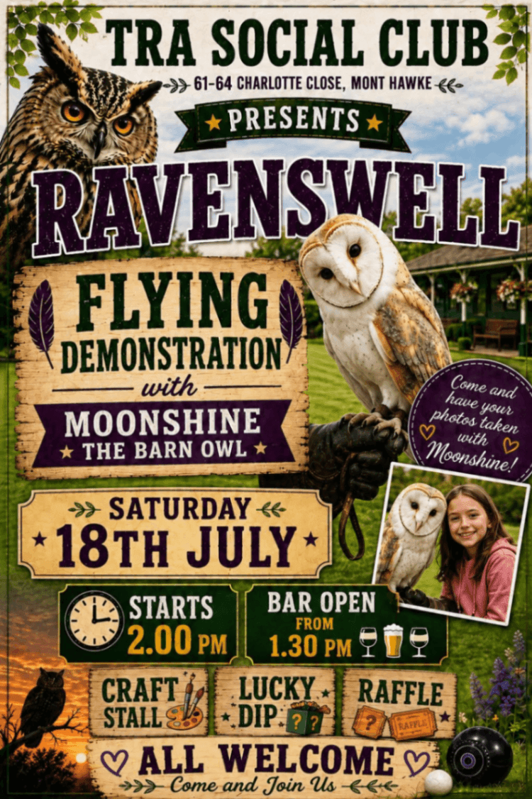Ravenswell Flying Demonstration with Moonshine The Barn Owl