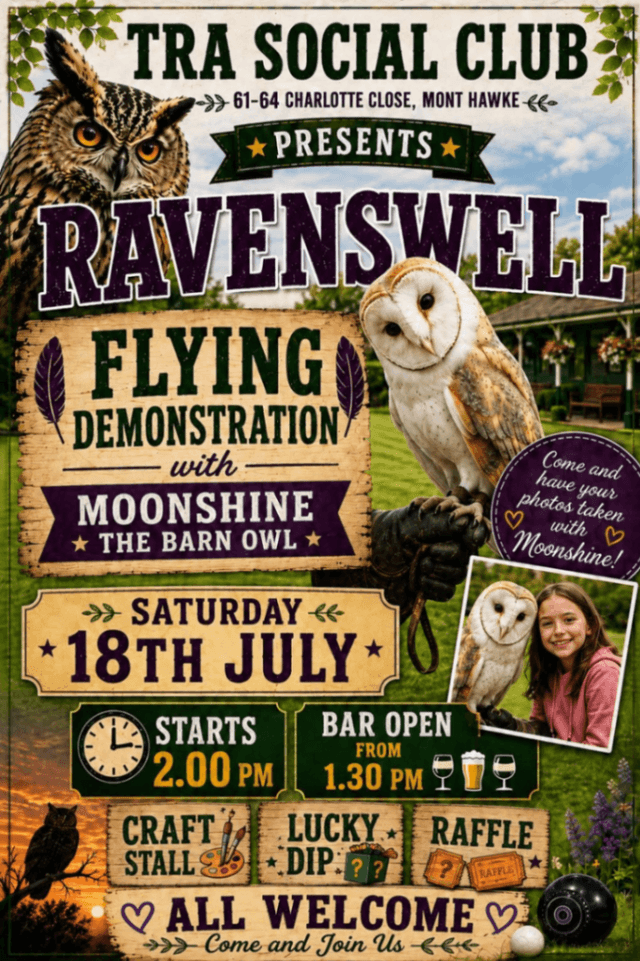 Banner image for Ravenswell Flying Demonstration with Moonshine The Barn Owl