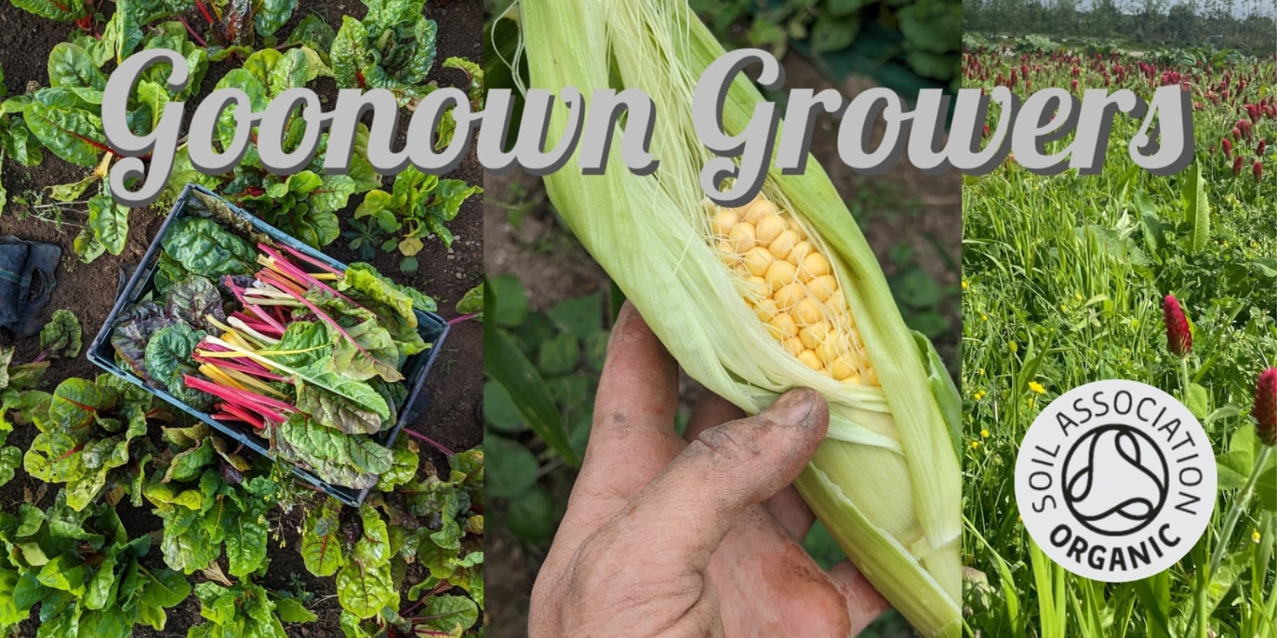 Goonown Growers CIC